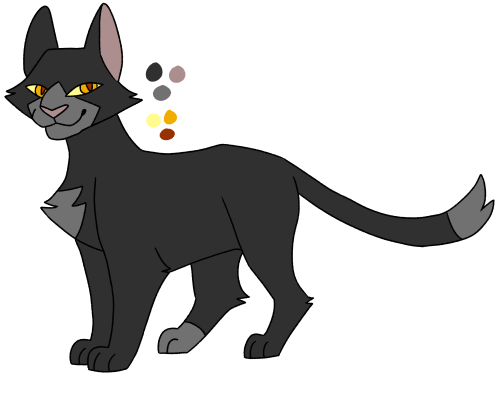 Nightfur! Another Skyclan cat who refused to leave after the clan disbanded. 