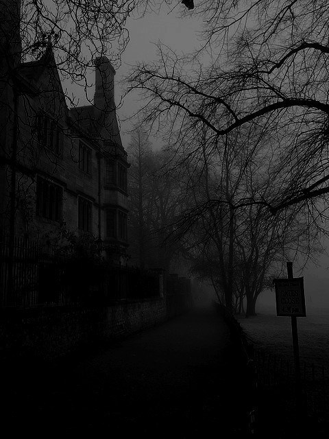 Maybe Ghosts