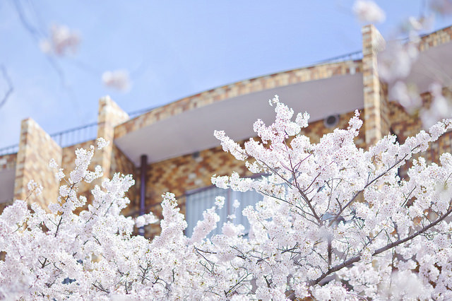 heartisbreaking:  TOKYO NAKAMEGURO by linton!! on Flickr.