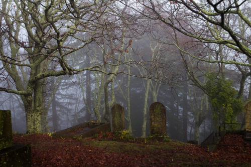 Cemetery Fog 3 by Lucy Stronach
