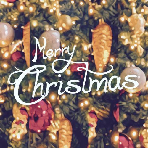 timcasso-official:Merry Christmas ❄️ #merrychristmas #christmas #instachristmas #love #peace #happin