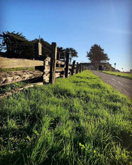 Old fence and grass  (at Half Moon Bay State Beach) https://www.instagram.com/p/CKQNilbLwQb/?igshid=f1mk3c0vun03