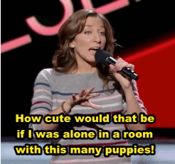 stand-up-comic-gifs:  Chelsea Peretti porn pictures