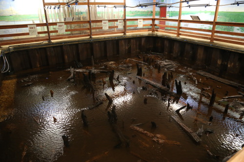 Bronze Age Wooden Causeway and Platform at Flag Fen Bronze Age Centre, Peterborough. This prehistori