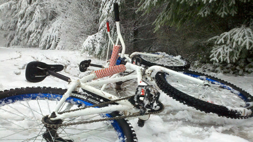 chirosangaku: Bike Magazine - The Web Monkey Speaks: The Things I Used to Do