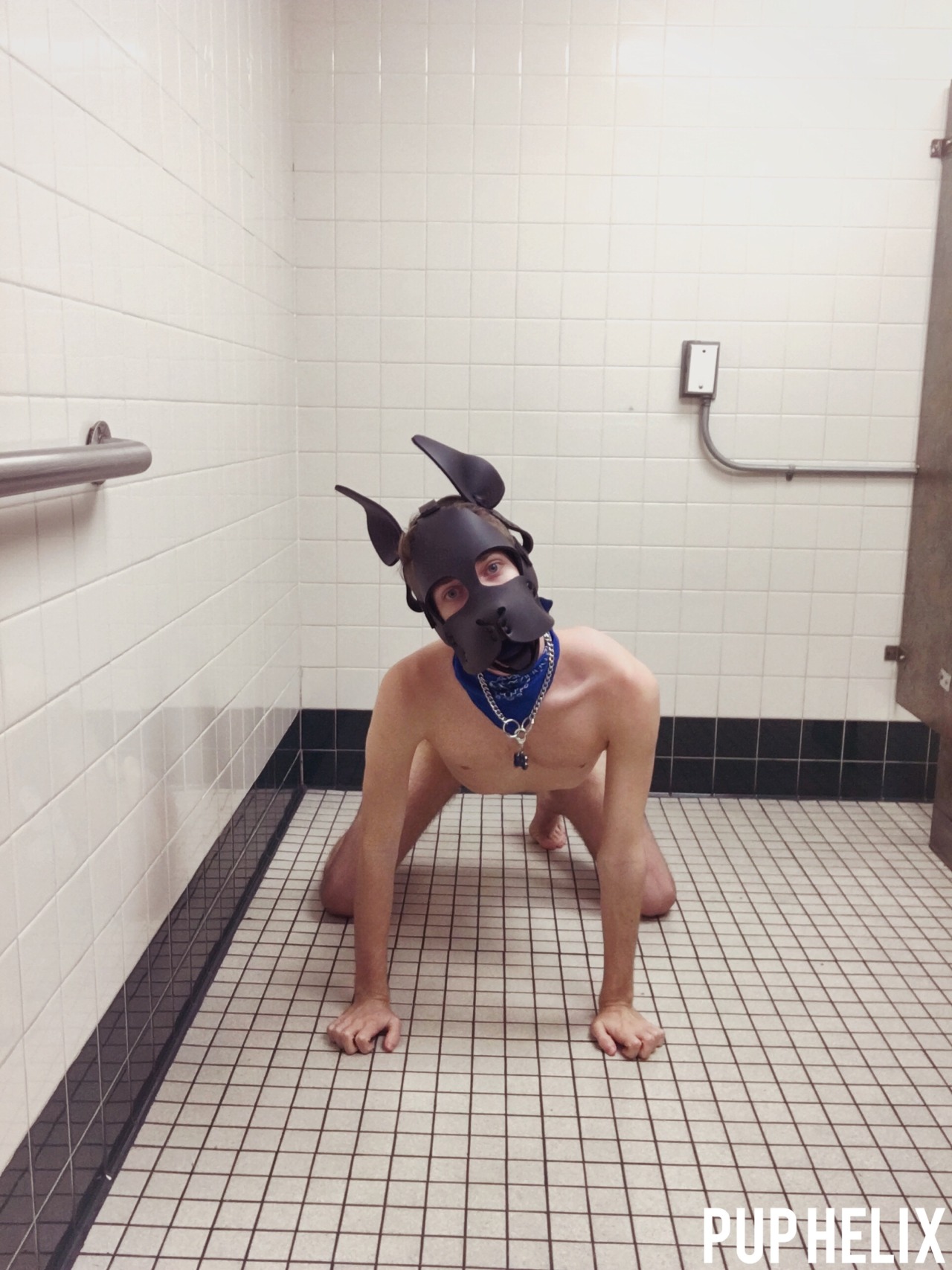 puphelix:  I was a naughty puppy last night! I went to a local public bathroom then