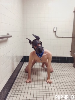 puphelix:  I was a naughty puppy last night! I went to a local public bathroom then stripped all the way down and put my pup hood on. After placing all my clothes in one of the stalls, I started to pup around and enjoy being completely exposed to anyone