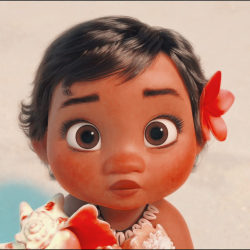 animationsedts