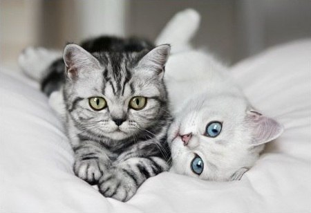 magics-secrets:  baby