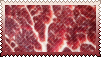 Meat