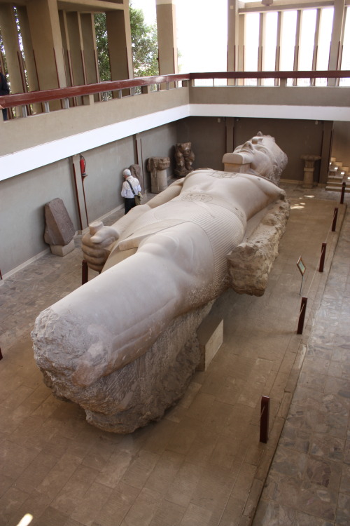 museum-of-artifacts:Ramses II colossal statue in the Memphis open air museum in Egypt.