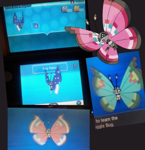 “Vivillon with many different patterns are found all over the world. These patterns are affected by 