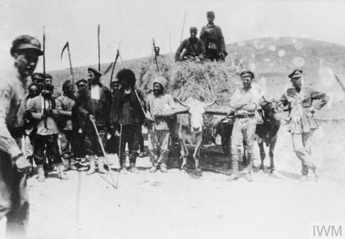 Troops of the Russian Armoured Car Division with Armenian harvesters(1916).