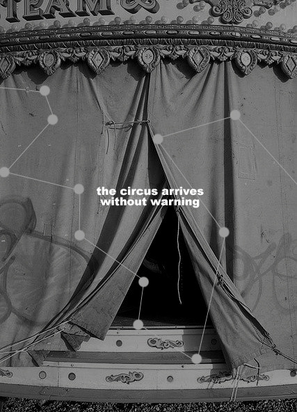 shakespears:  The Night Circus by Erin Morgenstern:“People see what they wish to see. And in m