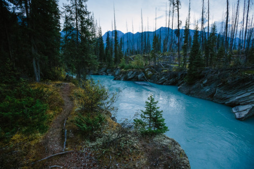 steveseeley: Kootenay River www.steveseeley.com