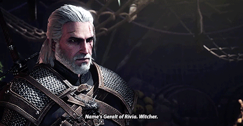 mikaeled:Monster Hunter: World x The Witcher 3: Wild Hunt