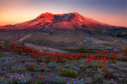 mountainish:  Soft Light for St. Helens (by Trevor Anderson) 