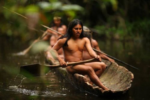 coisasdetere:   Indígenas - Amazônia, porn pictures