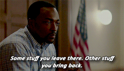 mshopevandyne:    Marvel Cinematic Universe Meme: [ 2/2 avengers ] Sam Wilson/Falcon