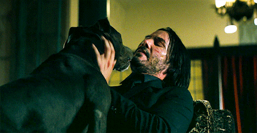 takiki16: caryled: “Is that the dog? He likes you.” #hes learning how to process affecti