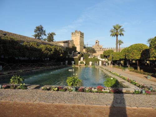 Fuente, Jardin del Alcazár, Córdoba, 1977 y 2016.Changes in landscaping! The upper photo was taken i