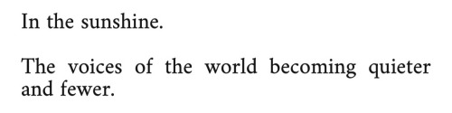 Franz Kafka, From The Blue Octavo Notebooks