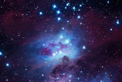 rexisky:    NGC 1977, NGC 1973 and NGC 1975 - Running Man Nebula  
