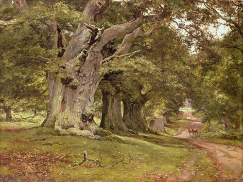 fafarago:″The Oak’s Massive Trunk, Aldermaston Park, Berkshire” (1912)by Edward Wilkins Waite, R.B.A