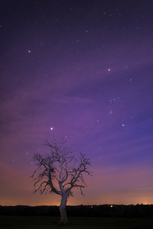 wonders-of-the-cosmos - Night sky - The Orion Constellation....