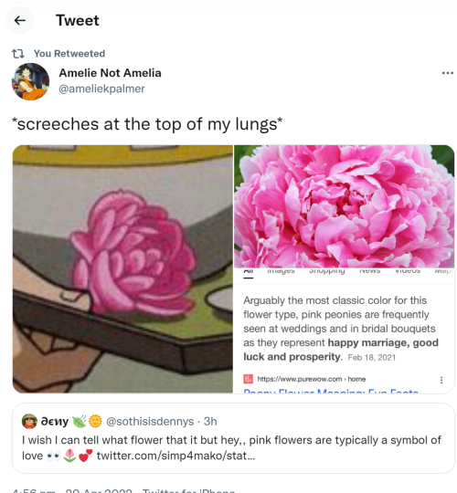 New zutara headcanon dropped, courtesy of Zutara twitter. ❤️Share your pink peony Zutara headcanons 