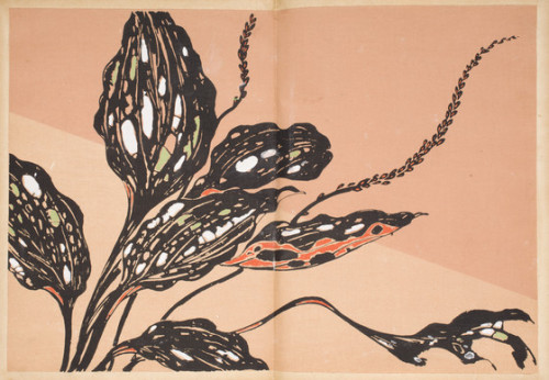 heaveninawildflower: Shasei sōka moyō (Patterns of Grasses and Flowers Drawn from Life) by Furuya Kō