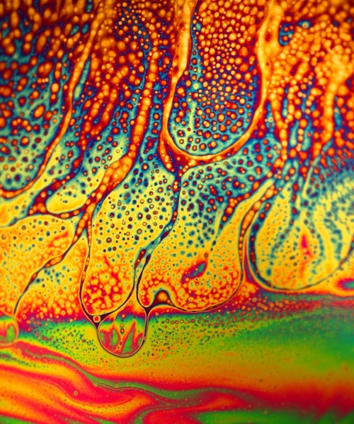 devidsketchbook:  INCREDIBLY MACRO SOAP PHOTOGRAPHY BY JANE THOMAS Photographer Jane Thomas (facebook) - Colours and patterns arising naturally from the interference of reflected light rays from the front and rear surface of a thin film of water and soap