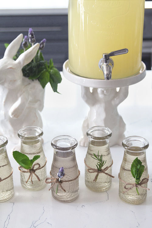 Herbal Lemonade Station