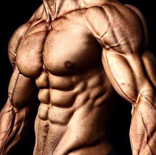Adonis Files