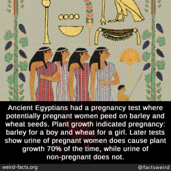 mindblowingfactz:Ancient Egyptians had a
