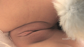 dawnwillow:  ♥Bunny Tailplug♥