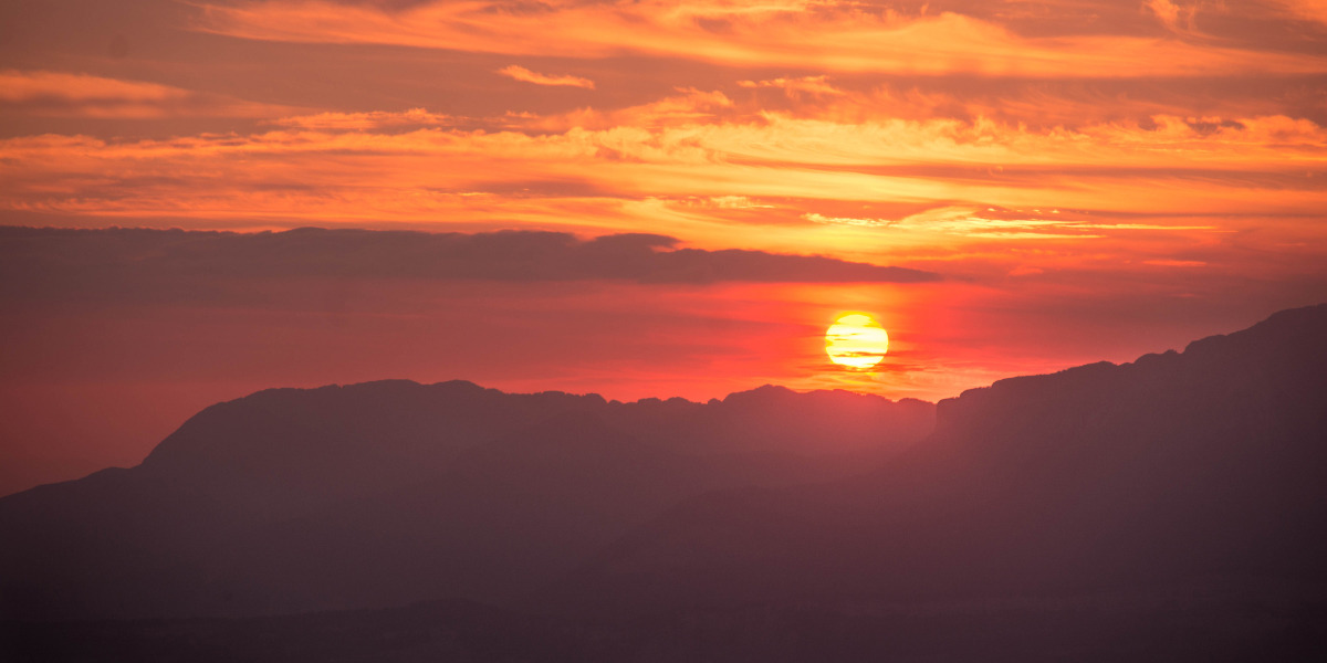 ysambre-fauntography:Waiting for the day’s end at some refuge during one of those