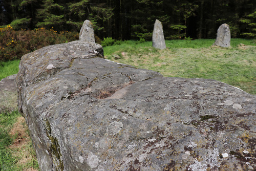 Aikey Brae Stone Circle, near Old Deer, Scotland, 2.6.18.A recumbent stone circle built in the 3rd m