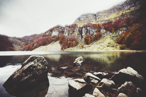 elenamorelli:  { there is still life ahead } 