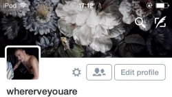 bambi-layouts:  ✧ like/reblog if you save, please✧ credits here and do not steal!