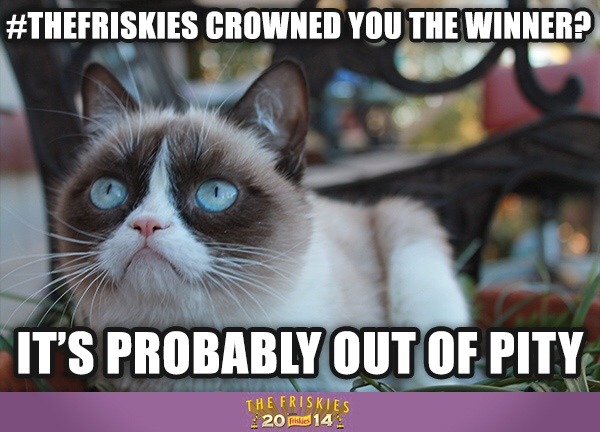 Your favorite cat superstars are here, they are tragically underwhelming. Visit bit.ly/1mJOuQY to see the winners from each...