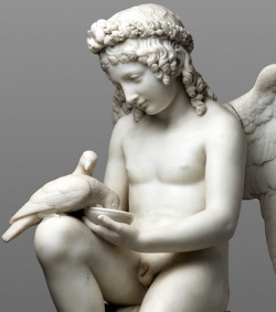 earlybright:     Luigi Bienaimé,  Cupid