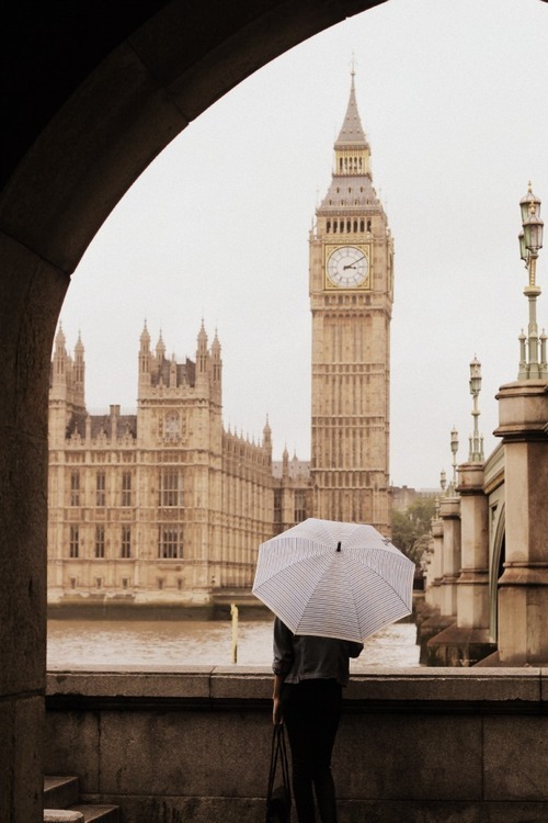 wolftramp:  Vintage Blog ☼ 