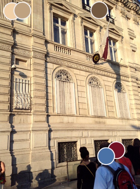 dahliafield:  france, paris 