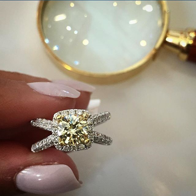 Fashion | Luxury | Beauty