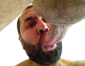 bearporngifs:  hairyguy6904 on xtube
