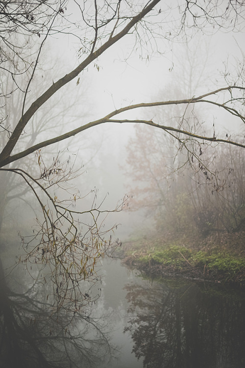 cinnamonthursdays: Misty River Brent By Karolina Koziel Website | Tumblr | Instagram | Twitter | Pin