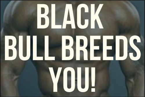 Shout out to all the ladies who’ve gotten blackbred or get blackbred regularly