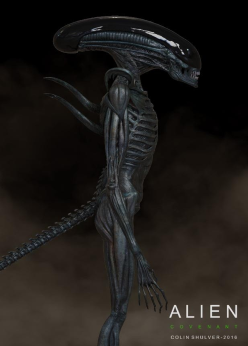 everything-alien-and-predator:Protomorph Concept Art for Alien: Covenant