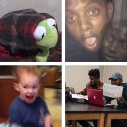 tropical-despairs:Rpdr as3 episode 6 moodboard